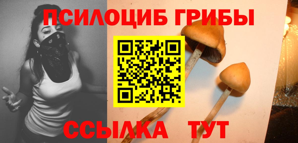 наркошоп  Псилоцибиновые грибы MAGIC MUSHROOMS  Алатырь  Вход с VPN  Галлюциногенные грибы мицелий 